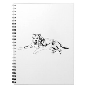 Open Attitude, Easy Writing Notebook