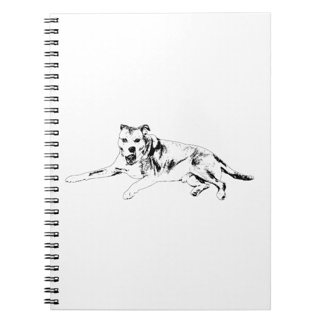 Open Attitude, Easy Writing Notebook (Front)