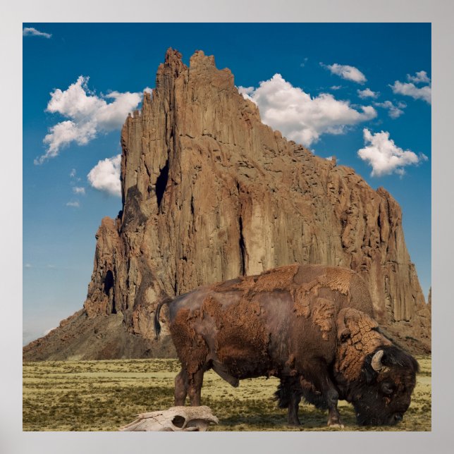 Open Country Poster (Front)