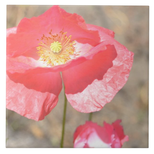 Open Heart Poppy Floral Ceramic Tile (Front)