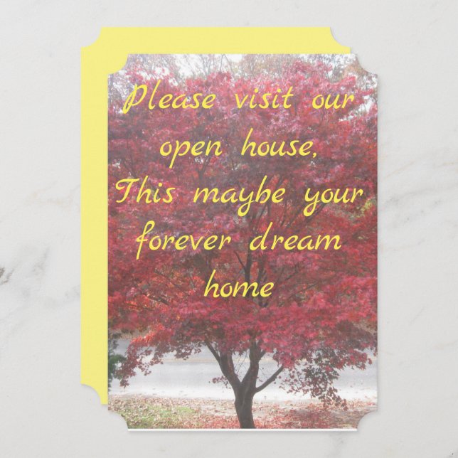 Open House Invitations (Front/Back)