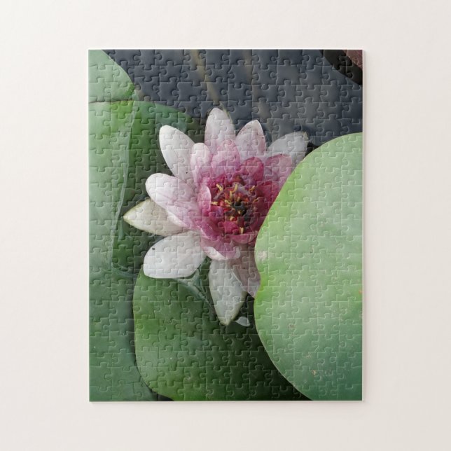 Open Lotus Flower Photo Jigsaw Puzzle (Vertical)