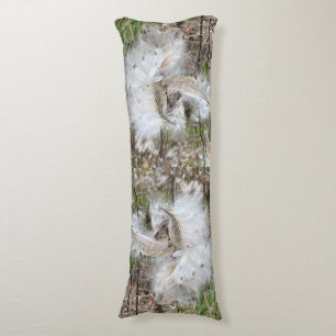 Open Milkweed Pods Seeds with Silk Body Cushion