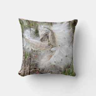 Open Milkweed Pods Seeds with Silk Cushion