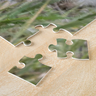 Open Milkweed Pods   Seeds with Silk   Jigsaw Puzzle
