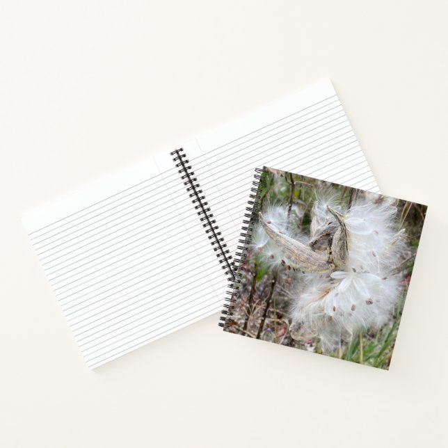 Open Milkweed Pods | Seeds with Silk | Notebook (Inside)