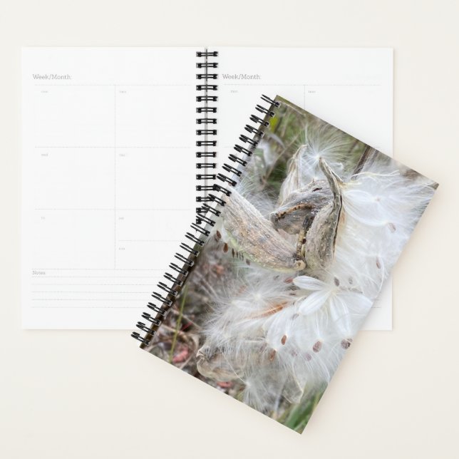 Open Milkweed Pods | Seeds with Silk | Planner (Display)