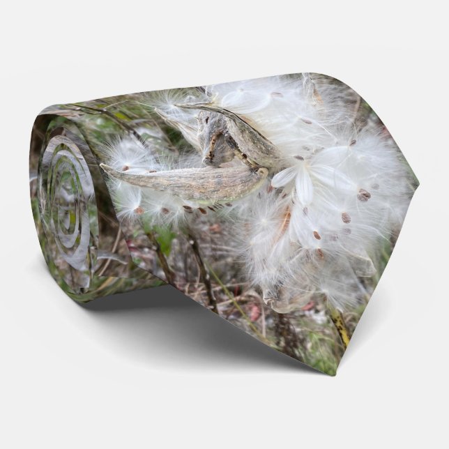 Open Milkweed Pods | Seeds with Silk | Tie (Rolled)