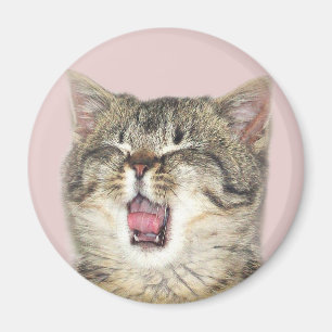 Open mouthed kitten magnet
