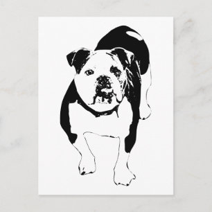 Open Road, Bulldog Hello Postcard