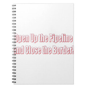 Open-The-Pipeline-and-Close-the-Borde-Whiter Notebook