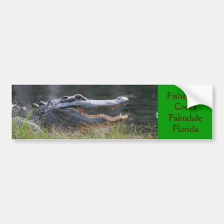Open wide Fisheating Creek Palmdale Florida Bumper Sticker