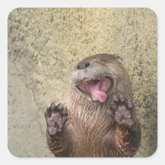 Open Wide! Otter Stickers
