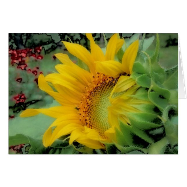 Opening Day - Sunflower (Front Horizontal)