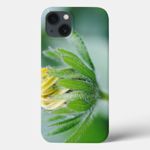Opening Flower Of Cone Flower iPhone 13 Case