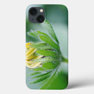 Opening Flower Of Cone Flower iPhone 13 Case