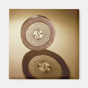 Openwork box lid, from Cornalaragh Magnet