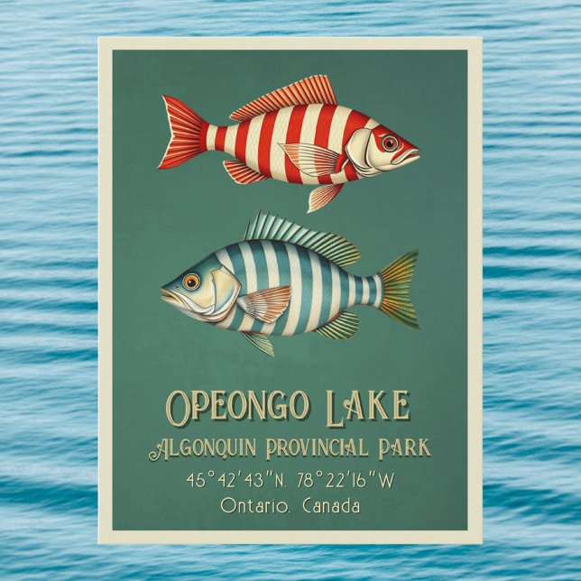 Opeongo Lake Ontario Canada fish Postcard (Creator Uploaded)