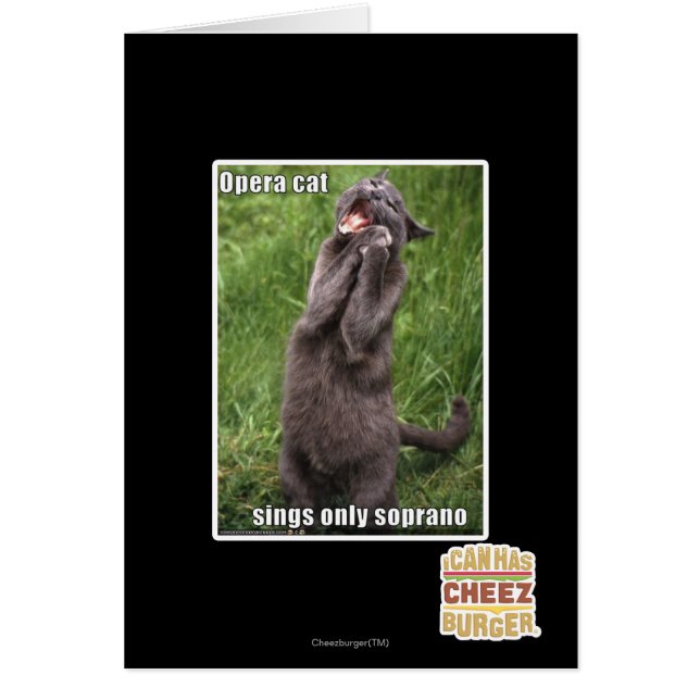 Opera Cat (Front)