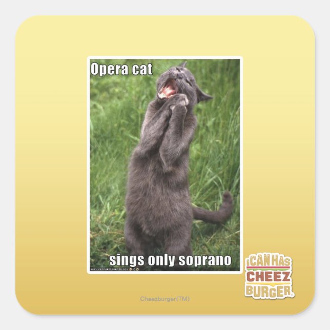 Opera Cat Square Sticker (Front)