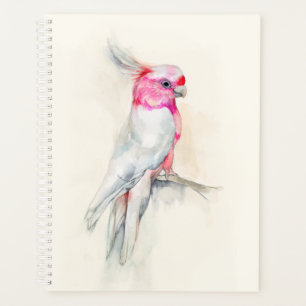Opera Cockatoo Planner