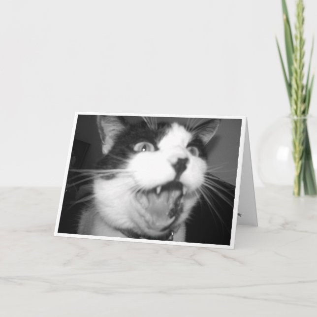 Opera Kitty birthday card (Front)