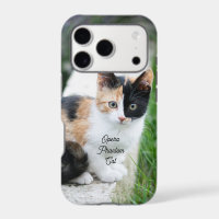 Opera Phantom Cat