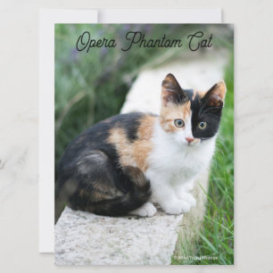 Opera Phantom Cat Card