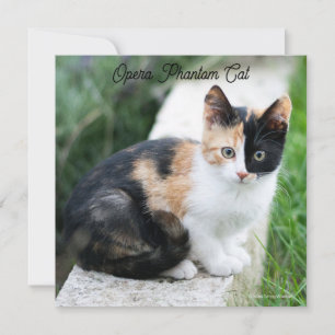 Opera Phantom Cat Card