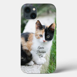 Opera Phantom Cat iPhone 13 Case