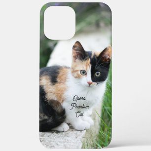 Opera Phantom Cat iPhone 12 Pro Max Case