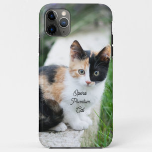 Opera Phantom Cat iPhone 11 Pro Max Case