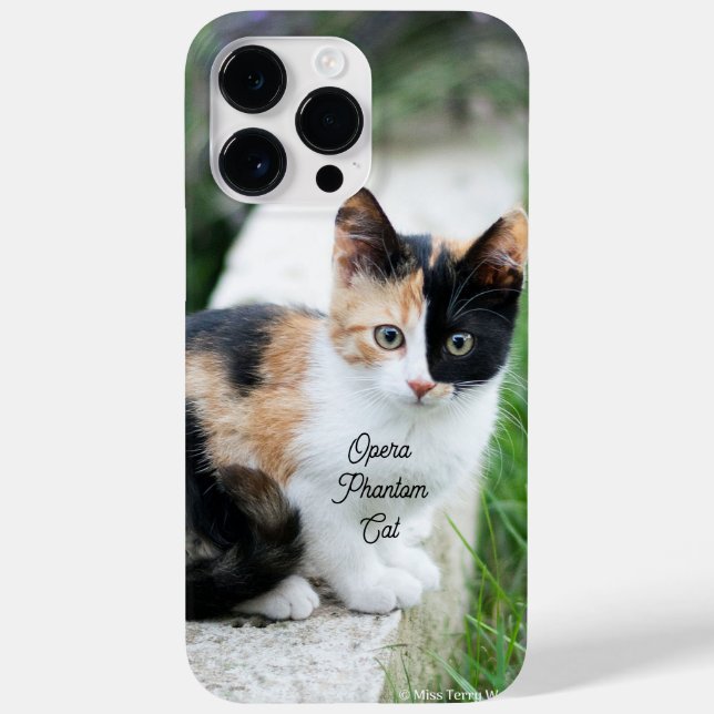 Opera Phantom Cat Case-Mate iPhone Case (Back)