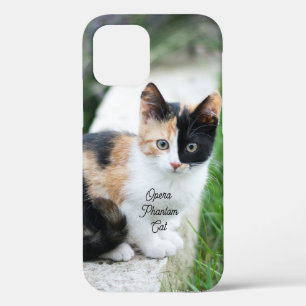 Opera Phantom Cat iPhone 12 Pro Case