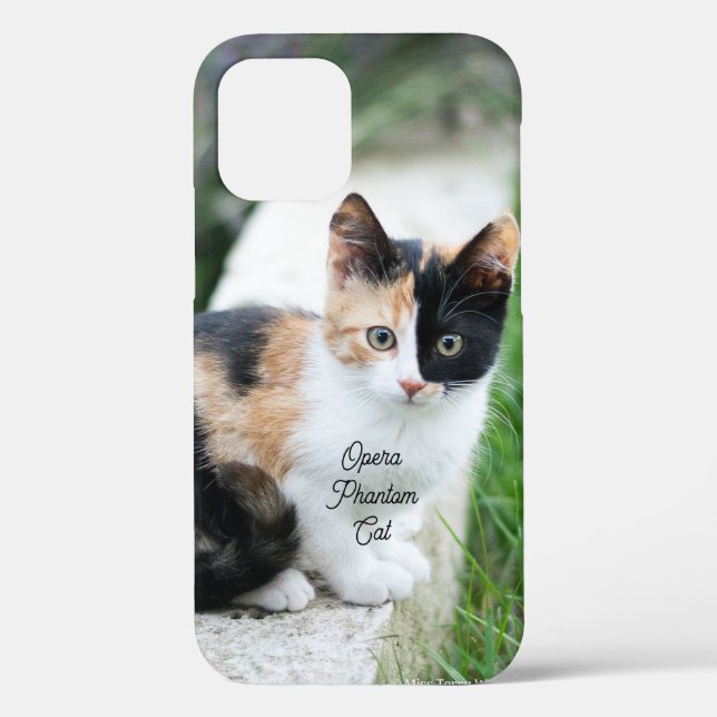 Opera Phantom Cat Case-Mate iPhone Case (Back)