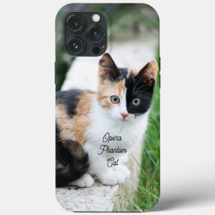 Opera Phantom Cat iPhone 13 Pro Max Case