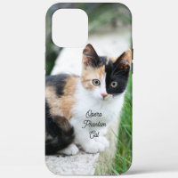 Opera Phantom Cat