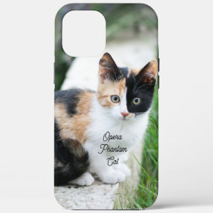 Opera Phantom Cat iPhone 12 Pro Max Case