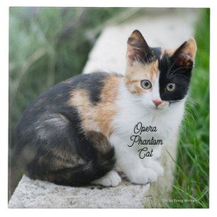 Opera Phantom Cat Ceramic Tile
