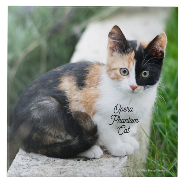 Opera Phantom Cat Ceramic Tile (Front)