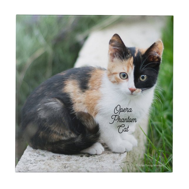 Opera Phantom Cat Ceramic Tile (Front)