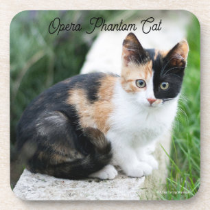 Opera Phantom Cat Coaster