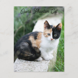 Opera Phantom Cat Enclosure Card