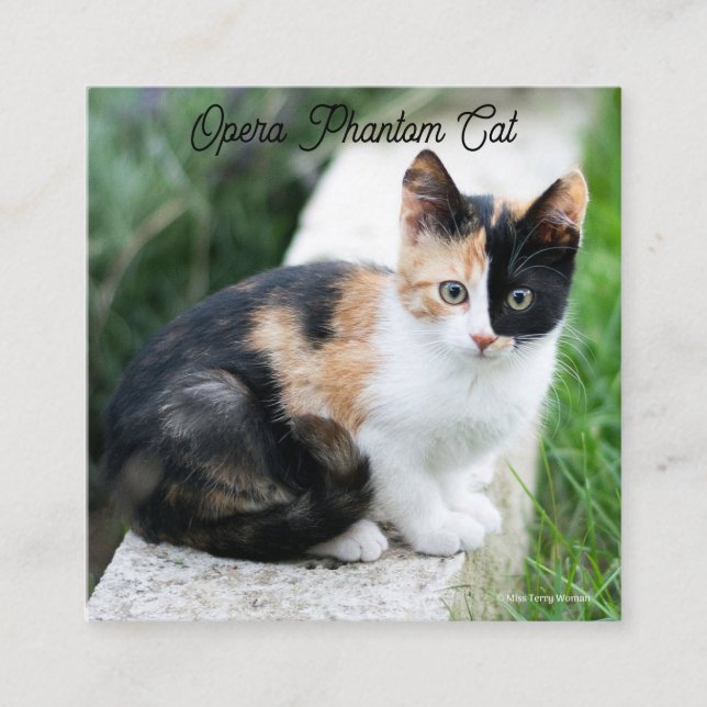 Opera Phantom Cat Enclosure Card (Front)