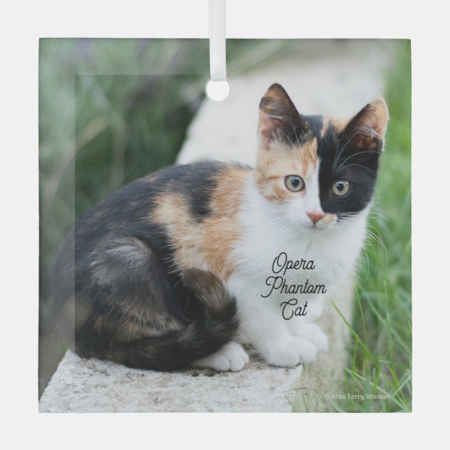 Opera Phantom Cat Glass Tree Decoration (Front)