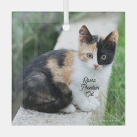 Opera Phantom Cat