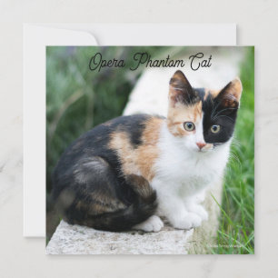 Opera Phantom Cat Holiday Card