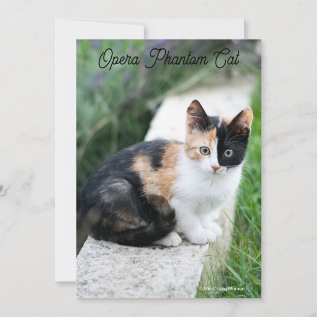 Opera Phantom Cat Holiday Card (Front)