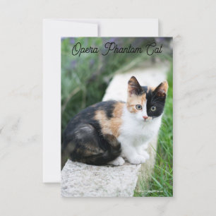 Opera Phantom Cat Invitation