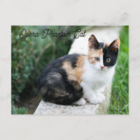 Opera Phantom Cat